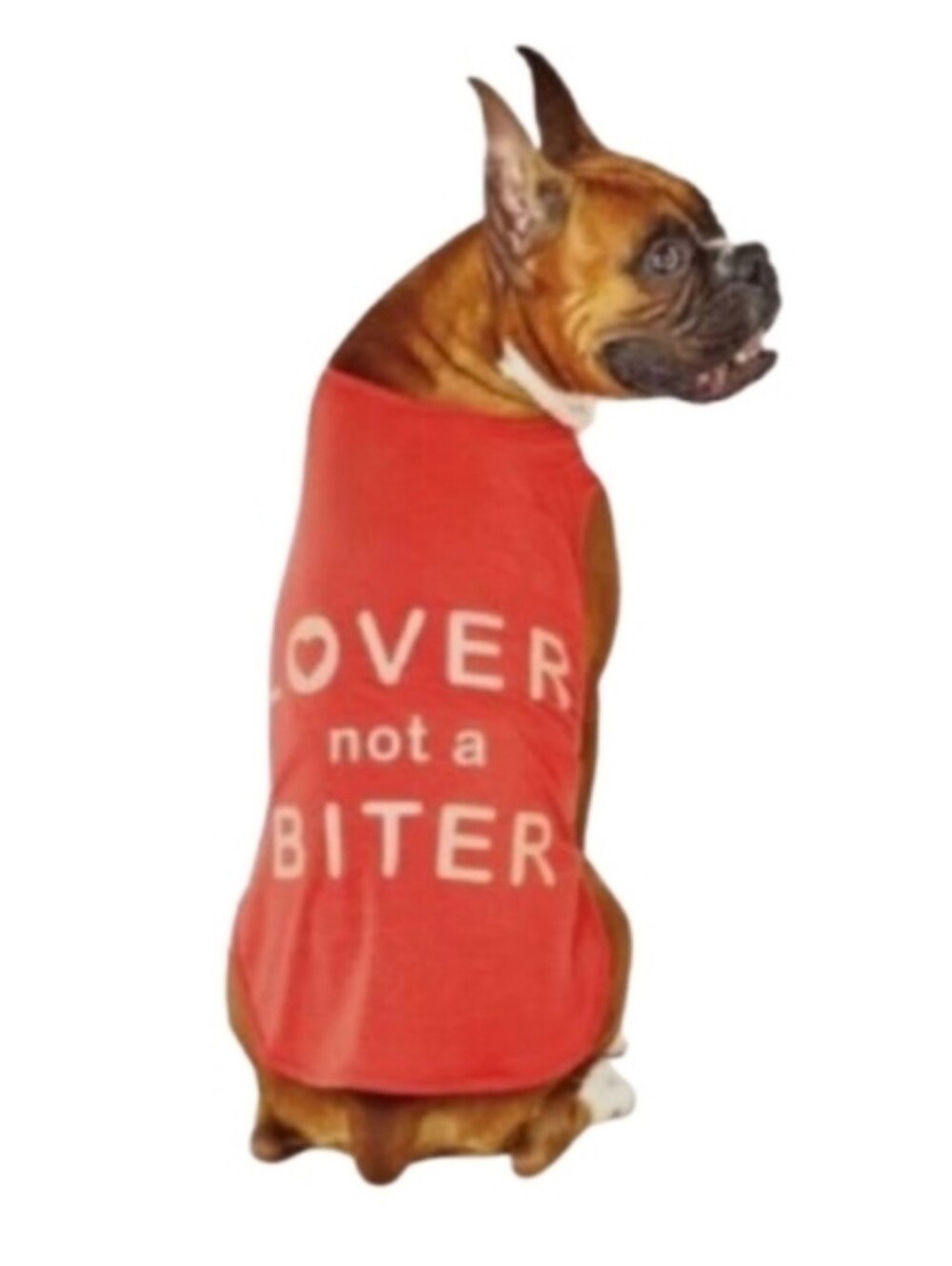 Dog Tank Top NWT